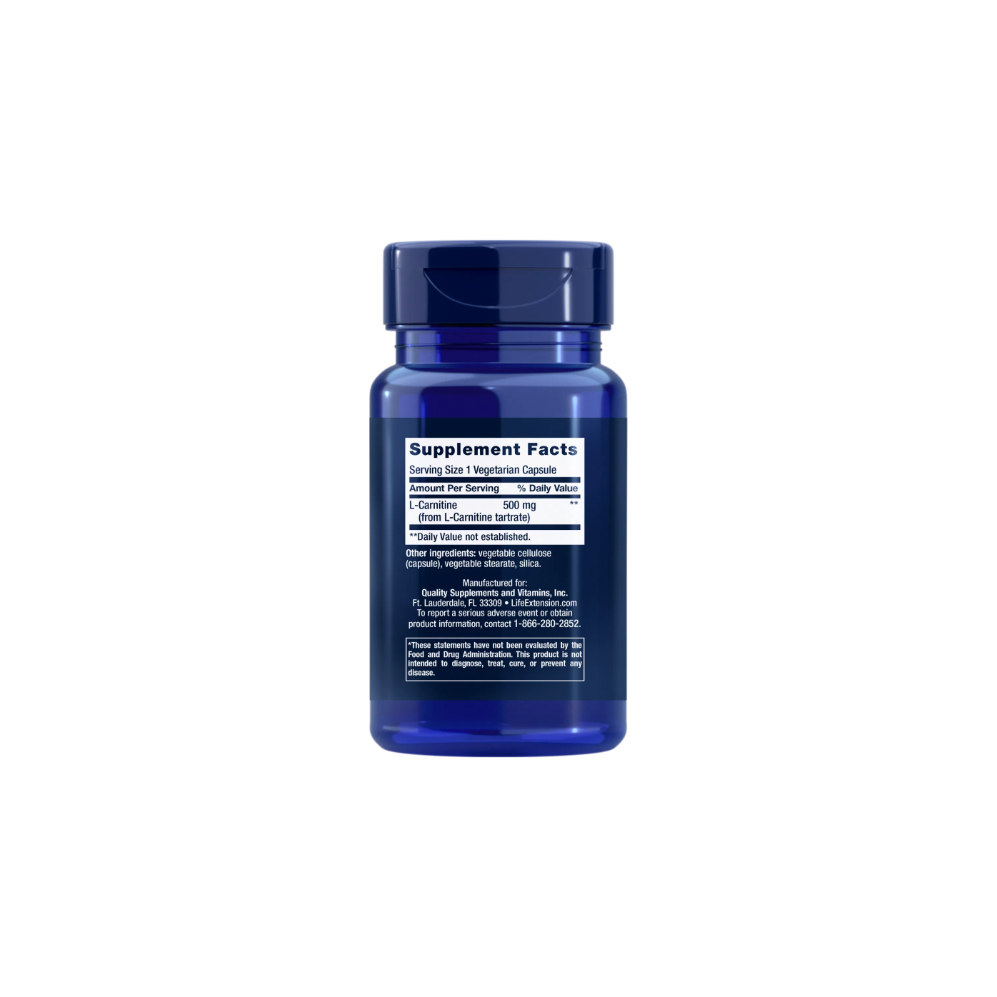 beste l carnitine How L-Carnitine Benefits Your Body and Mind main image 0