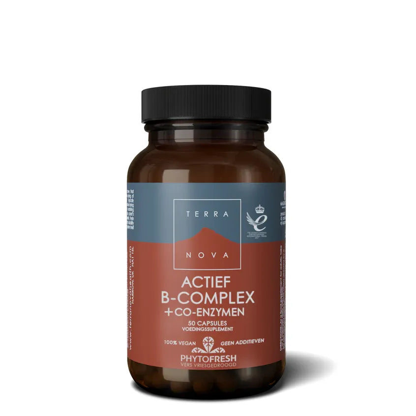 Actief B-Complex + co-enzymen Supplement Terranovabenelux 100 capsules