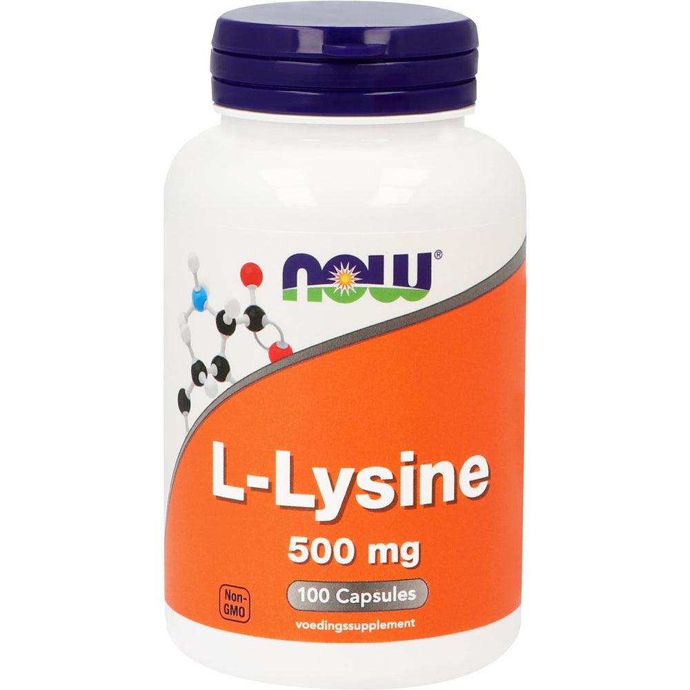 
                      
                        L-Lysine 500 mg Aminozuren NOW Default Title
                      
                    