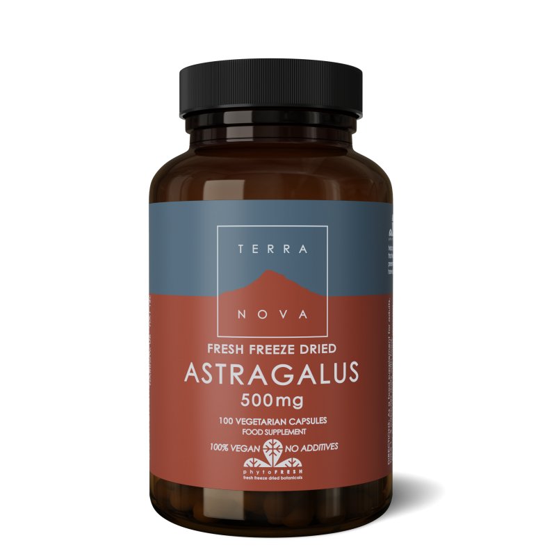 Astragalus 500 mg | 100 vegan capsules Supplement Terranovabenelux   