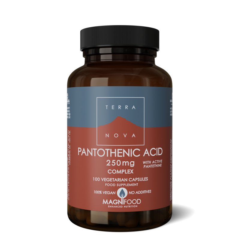 Pantotheenzuur 250mg Complex | 100 capsules Supplement Terranovabenelux   