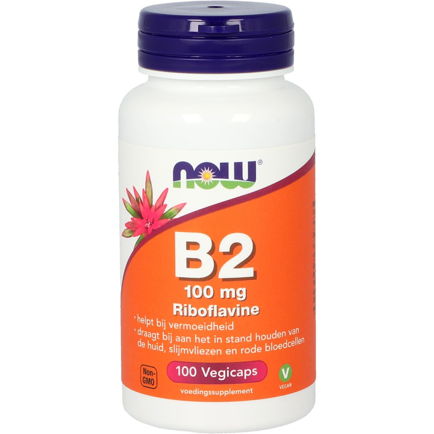 B2 100 mg Vitamine B NOW Default Title