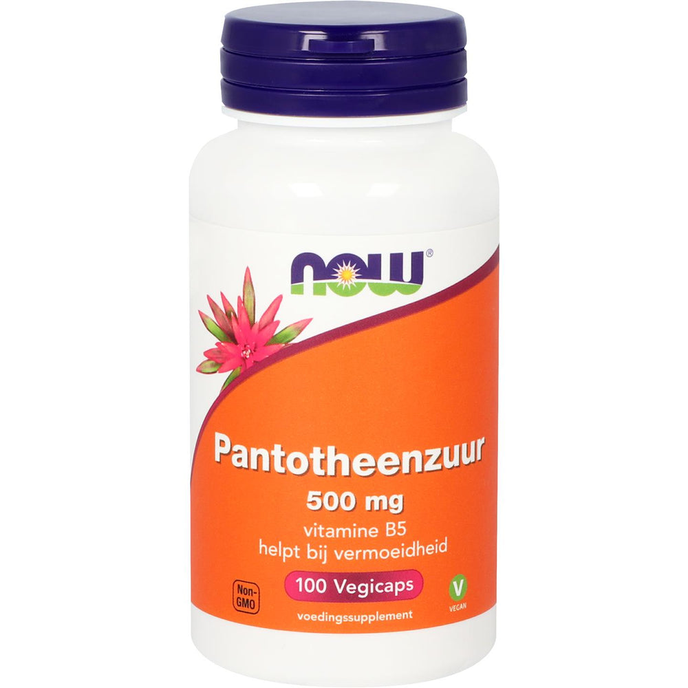 
                      
                        Pantotheenzuur 500 mg (B5) Vitamine B NOW Default Title
                      
                    