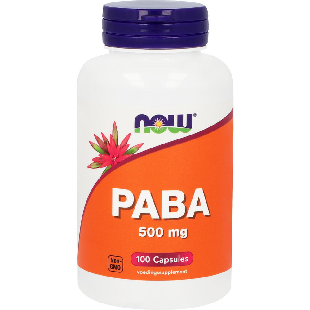 
                      
                        PABA 500 mg Vitamine B NOW Default Title
                      
                    