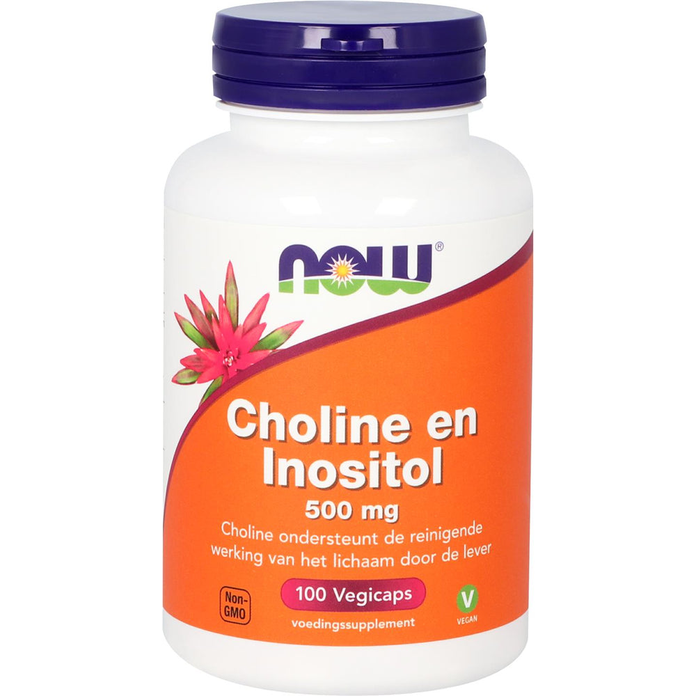 
                      
                        Choline en Inositol 500 mg Vitamine B NOW Default Title
                      
                    