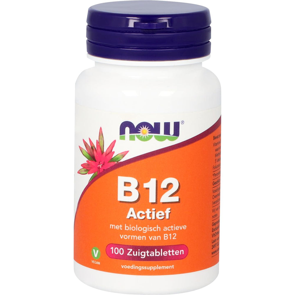 
                      
                        B12 Actief Vitamine B NOW Default Title
                      
                    