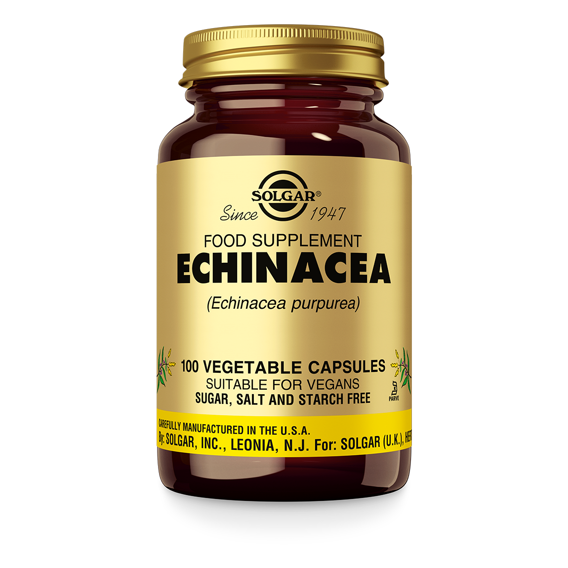 Echinacea Supplement Solgar
