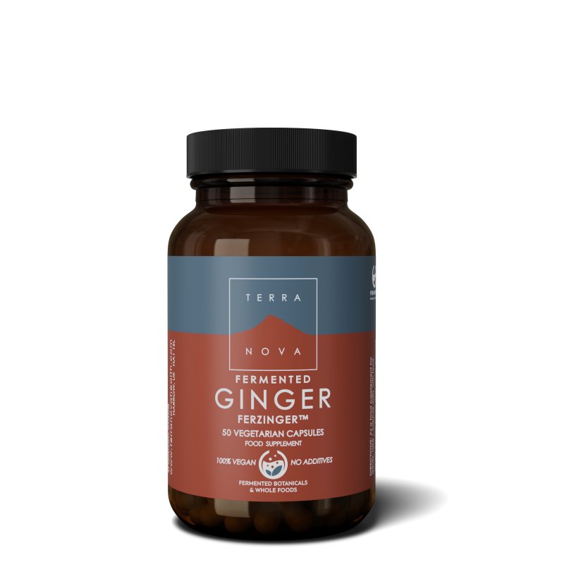 Fermented Ginger 250mg | 50 capsules Supplement Terranovabenelux   