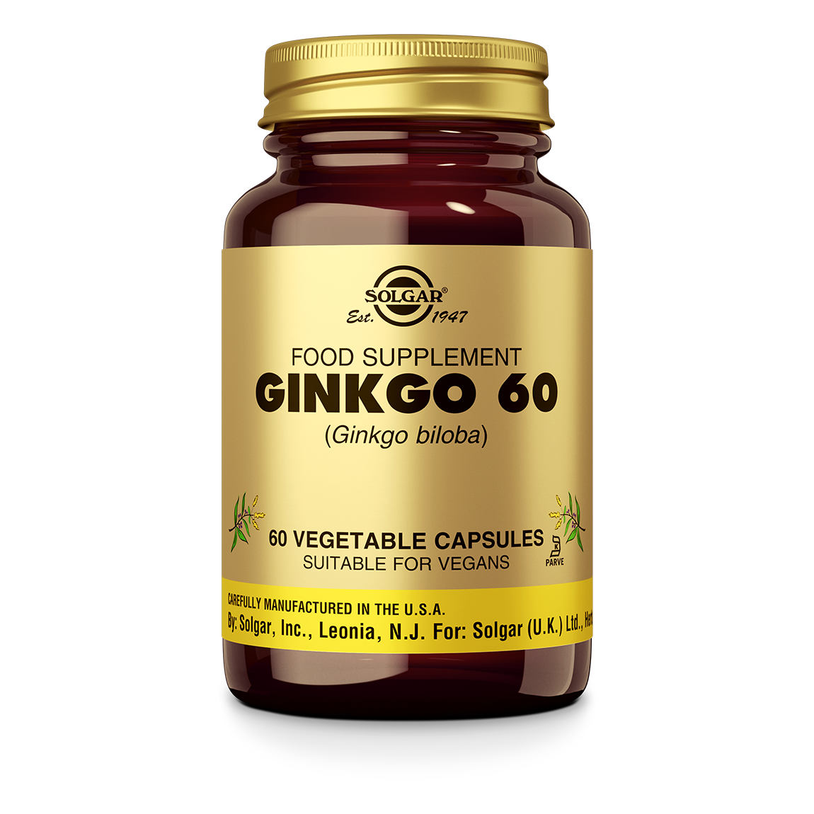 Ginkgo 60 mg Supplement Solgar