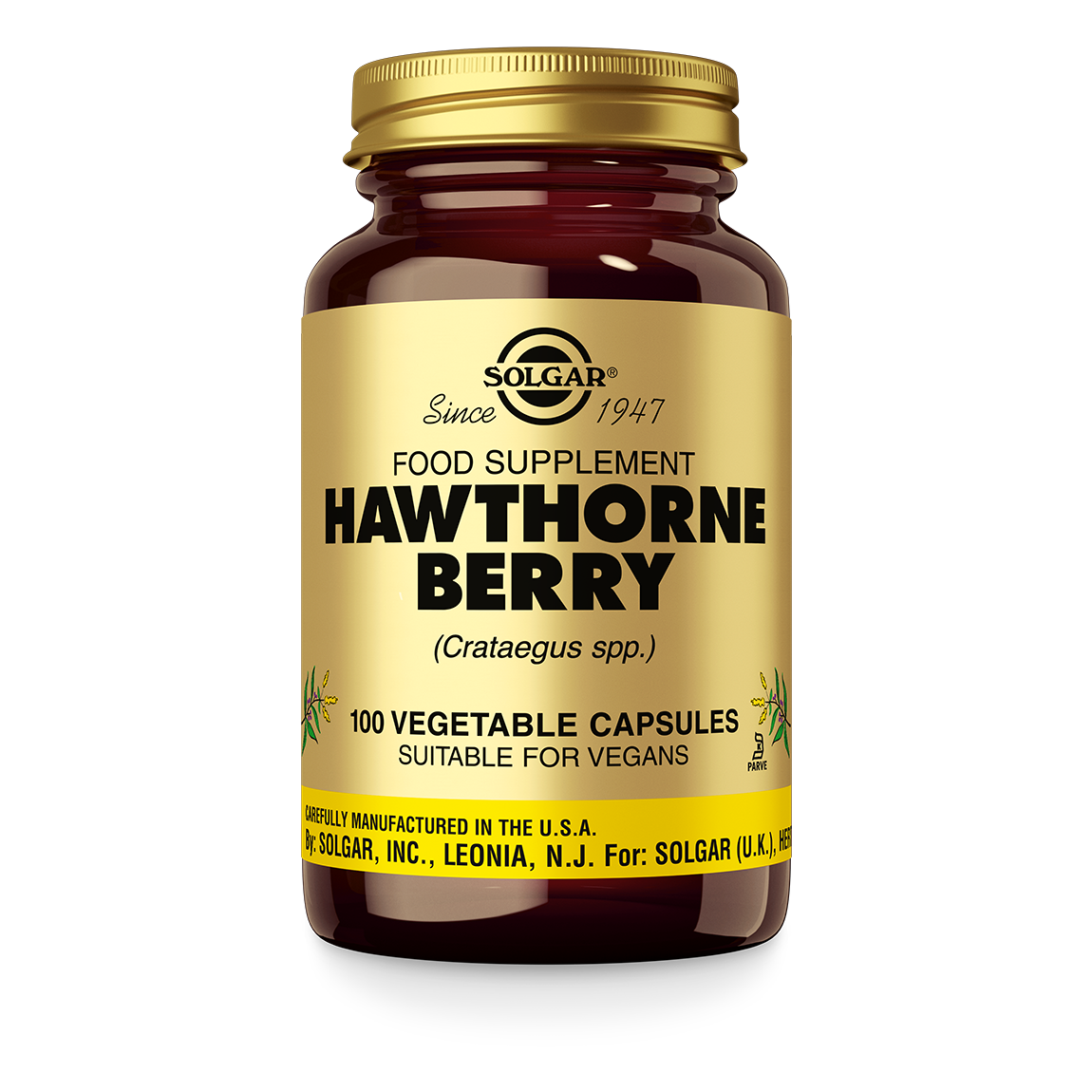 Hawthorne (Meidoorn) Berry Supplement Solgar