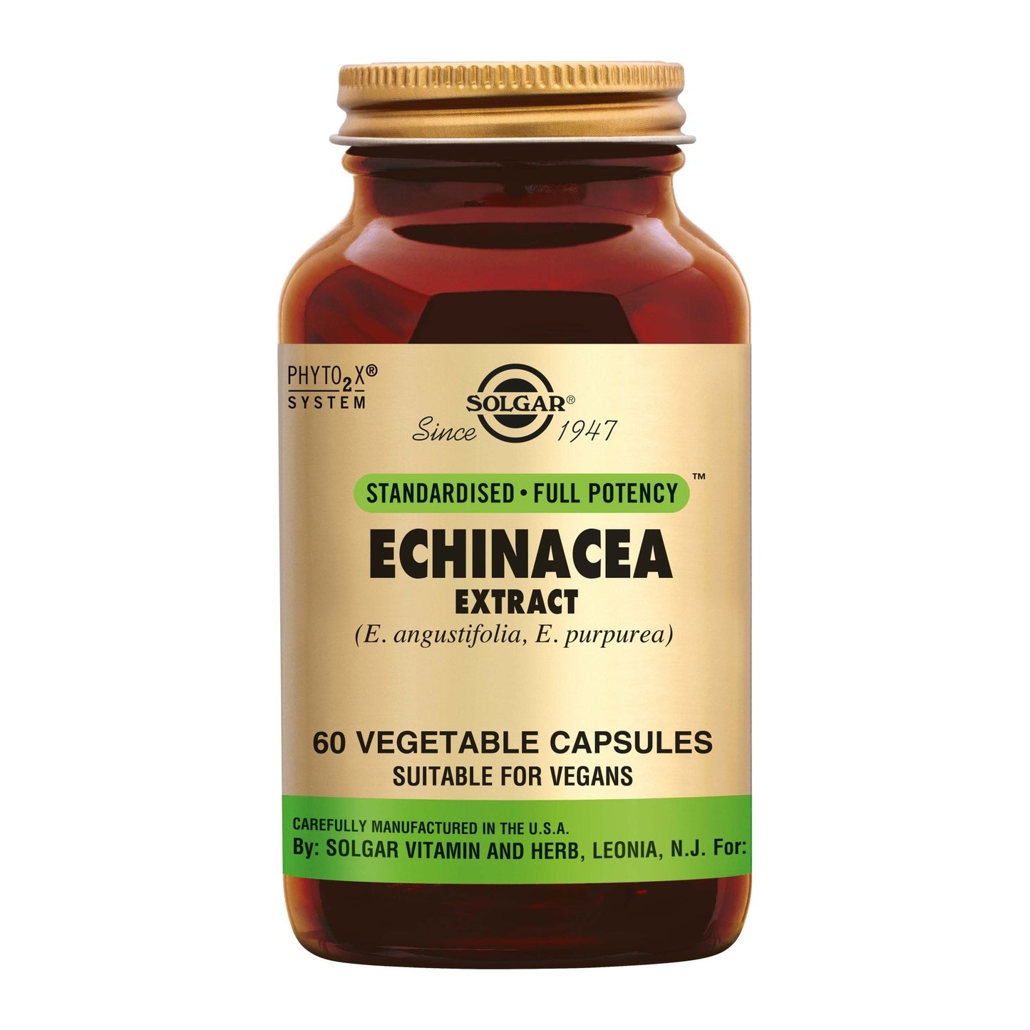 Echinacea Extract Supplement Solgar   