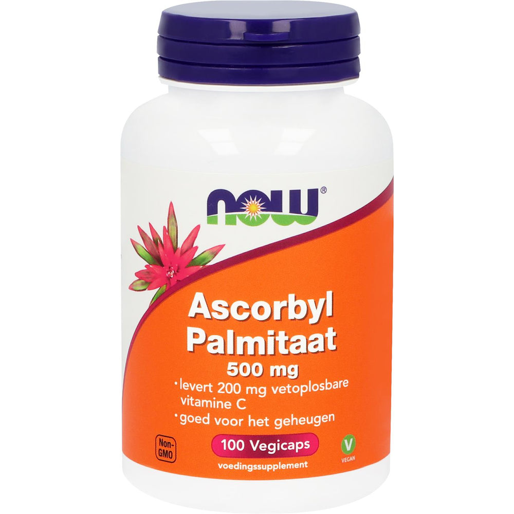 
                      
                        Ascorbyl Palmitaat 500 mg Vitamine C NOW Default Title
                      
                    