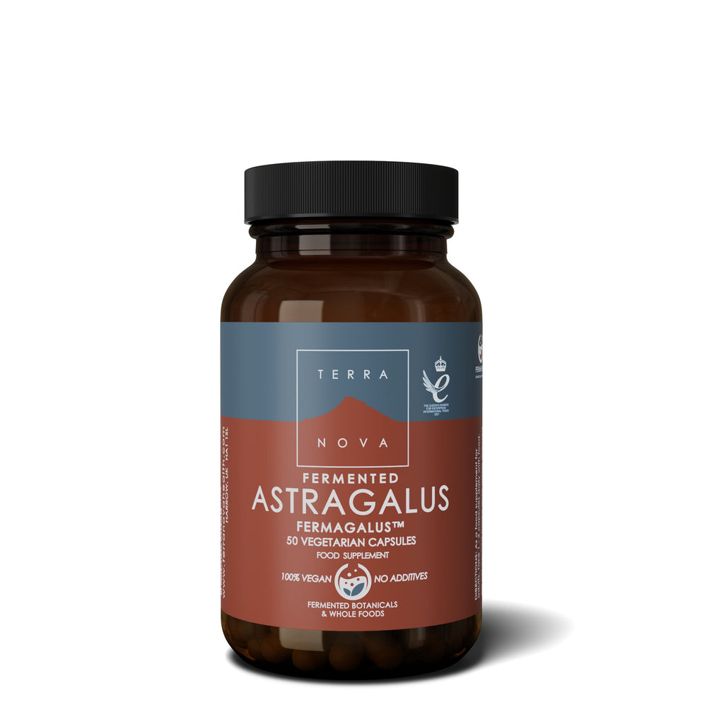 Fermented Astragalus (Fermagalus) | 50 capsules  Terranovabenelux   