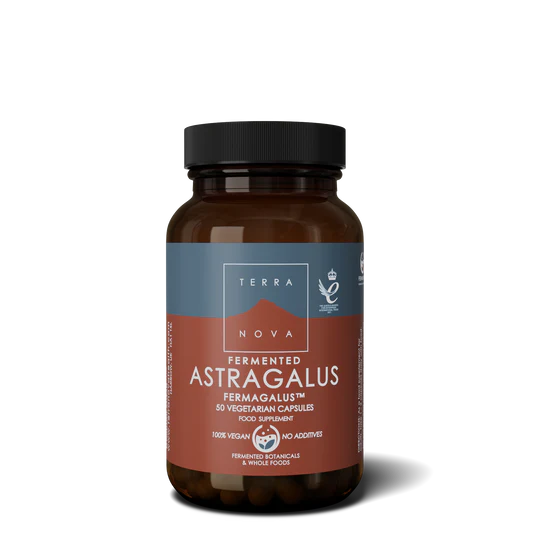 Fermented Astragalus (Fermagalus) | 50 capsules Terranovabenelux Default Title