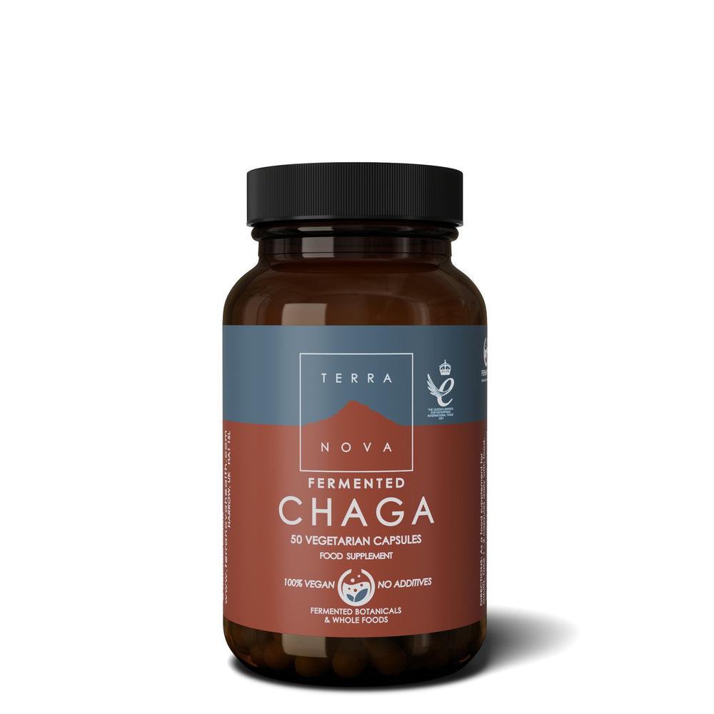 Fermented Chaga | 50 capsules  Terranovabenelux   