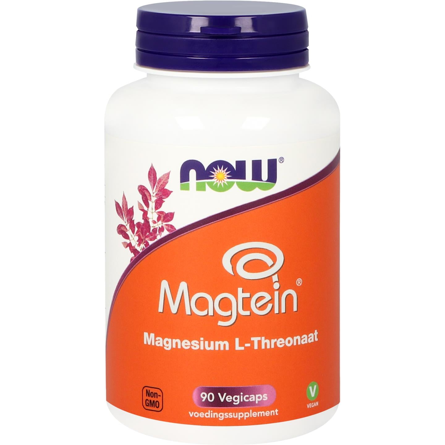 Magtein Magnesium L-Threonaat Overige producten NOW Default Title