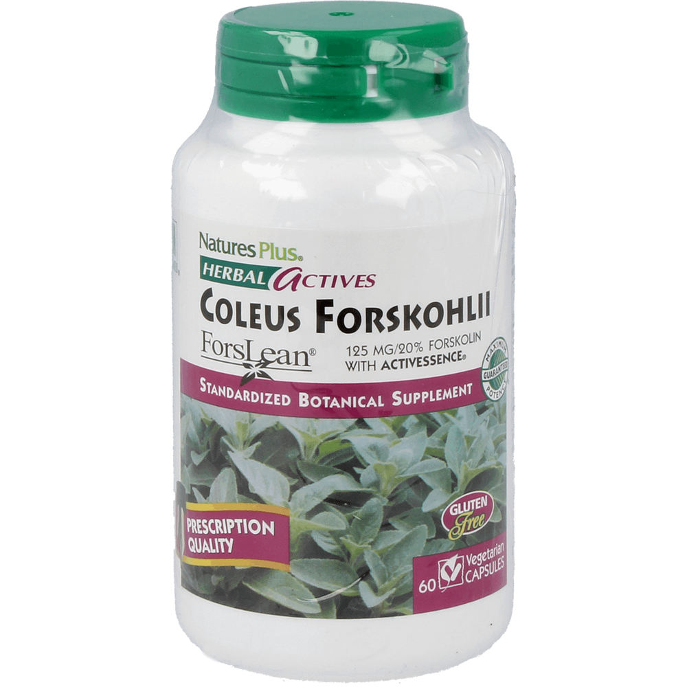 Coleus Forskohlii 125 mg Supplement Natures Plus Default Title  