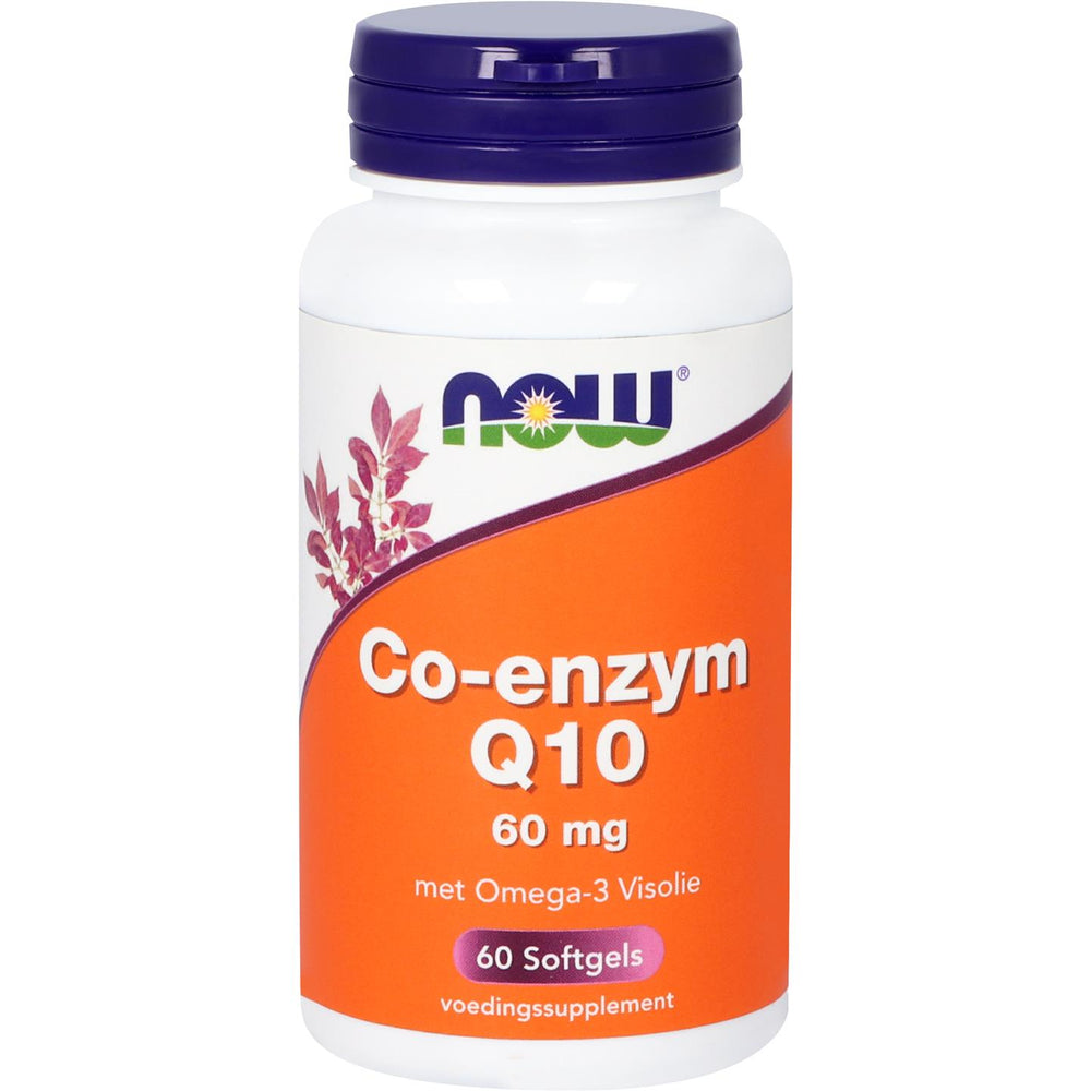 
                      
                        Co-enzym Q10 60 mg met Omega 3 Visolie Co-enzym Q10 NOW Default Title
                      
                    