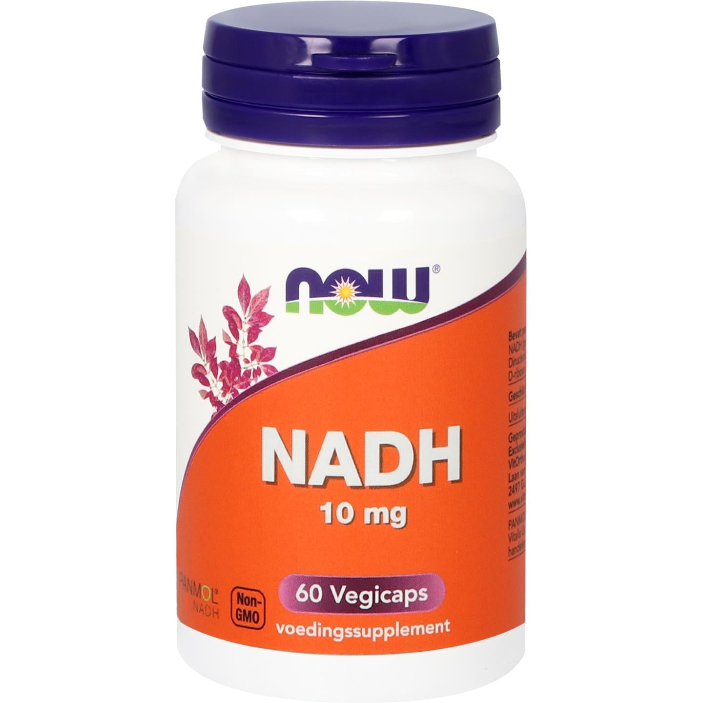NADH 10 mg Co-enzym Q10 NOW Default Title