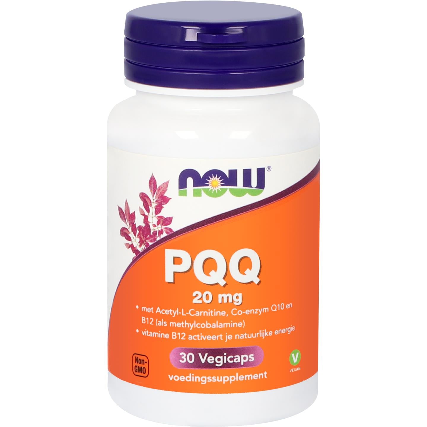 PQQ 20 mg Co-enzym Q10 NOW Default Title