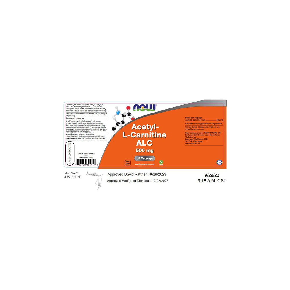 
                      
                        Acetyl-L-Carnitine 500 mg Aminozuren NOW
                      
                    