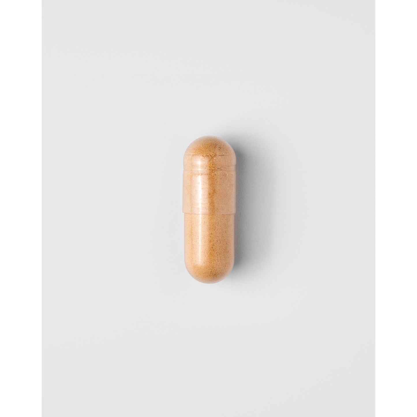 Biologische Agaricus 400mg - 60 capsules Supplement Mattisson