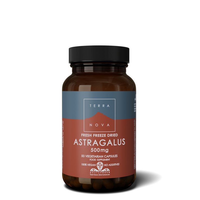 Astragalus 500 mg | 50 vegan capsules Supplement Terranovabenelux   