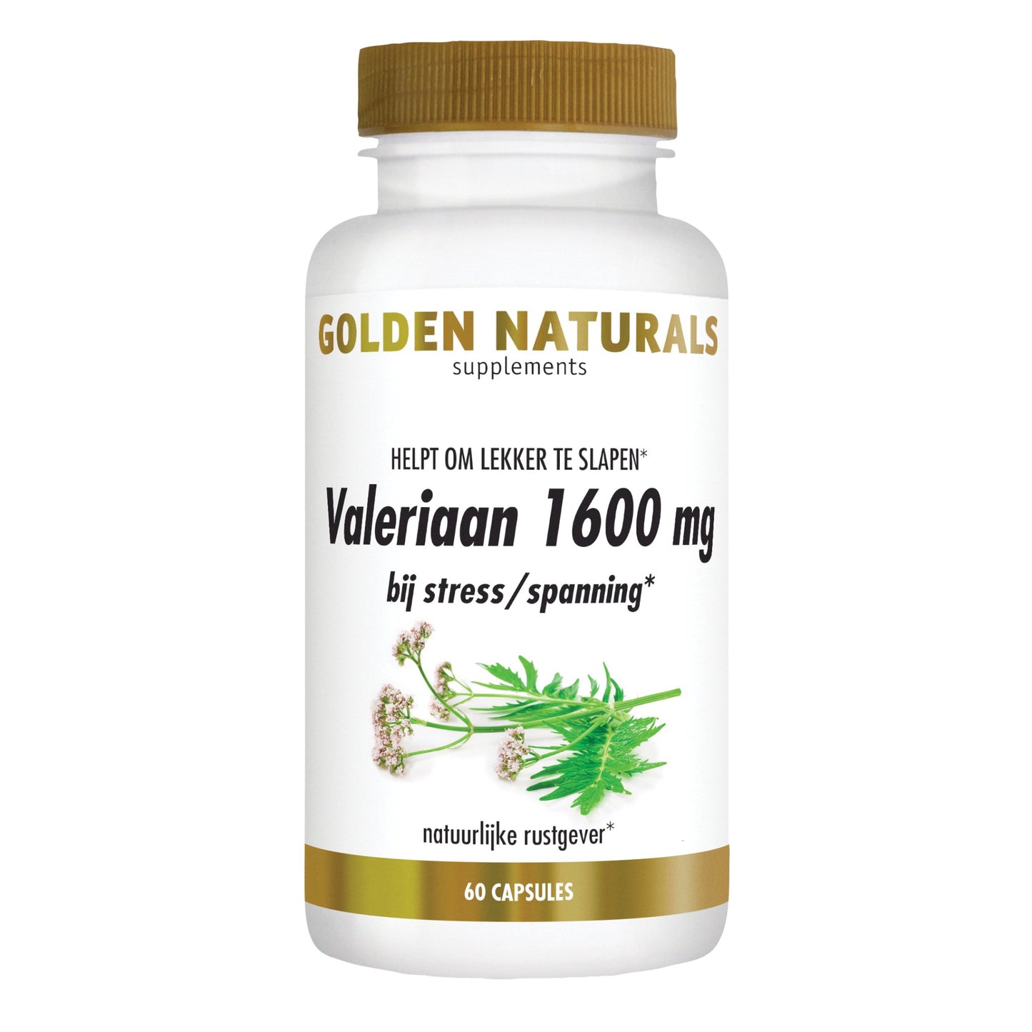 Valeriaan 1600 mg - 60 - veganistische capsules Supplement Golden Naturals   
